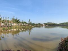 -枫香湖儿童公园