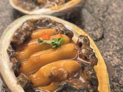 石锅大鲍鱼-品海楼·大连海胆锅贴馆(东港店)