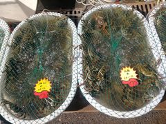 -芦潮港集贸市场