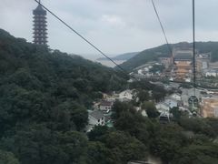-普陀山佛顶山索道