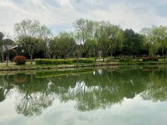 -白塔湖国家湿地公园