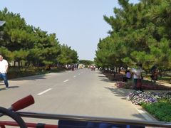 -石家庄市植物园