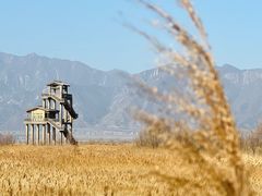 -野鸭湖国家湿地公园