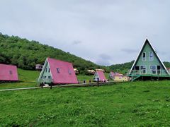 -关山草原