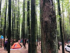 -山王坪喀斯特国家生态公园