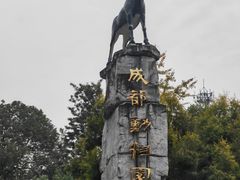 -成都动物园