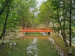 -桤木河湿地公园