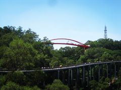-金鸡山公园