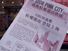 -Dior迪奥(上海世茂广场店)