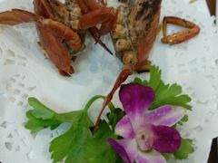 -友强·23年特色海鲜大排档(厦门店)