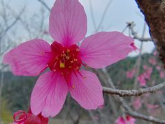 -世间香境·七溪地