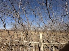 -哈密回王府景区