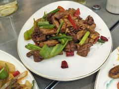 -翠花上酸菜