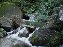 -大围山国家森林公园
