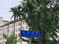 -奎星楼街