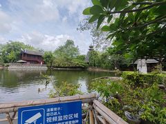 -厦门园林博览苑
