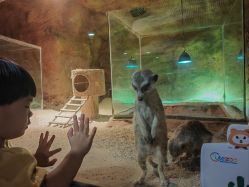 点击看大图 -酷嗒动物文化乐园(cutezoo西溪乐天城店)