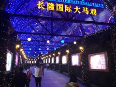 -广州长隆国际大马戏