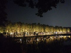 -万达瑞华酒店美食汇自助餐厅(楚河汉街店)