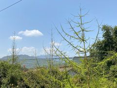 -青城山