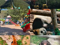 -大连森林动物园