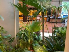 -上海新锦江大酒店