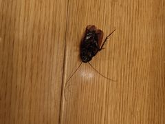 -闻泰花园酒店