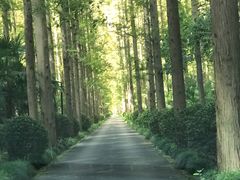 -上海怡沁园度假酒店