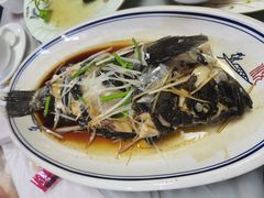 油泼黑头鱼-天伦海鲜·老味道·青岛菜(栈桥天主教堂店)