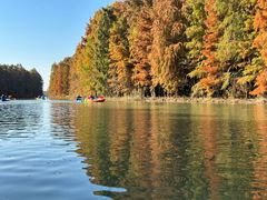 -上海海湾国家森林公园