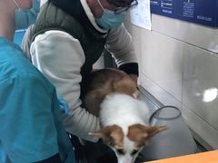 -申普宠物医院·眼科·心内科·影像科(普陀分院)