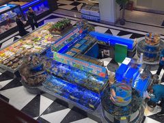 -新海渔港·胶东海鲜家常菜·家宴(奥体中心店)