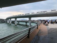 -演武大桥观景平台