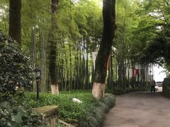 -西湖风景区十里琅珰-五云山