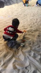 -恐龙探索乐园(磁器口店)