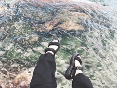 -外伶仃岛海鲜市场