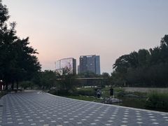 -大望京公园