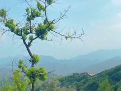 -八达岭长城