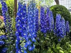 -东方体育中心(地铁站)