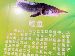 -老刘生态大鱼坊铁锅炖鱼(赛马场店)