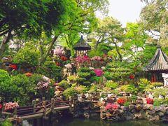 -豫园