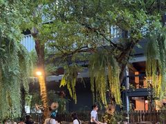 -Fern Forest Cafe