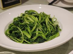 清炒鸡毛菜-朝郡酒家·粤菜(燕大星苑店)
