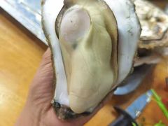 原只蒸生蚝-蚝得喜海鲜(东城店)