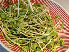 -湯記傳菜