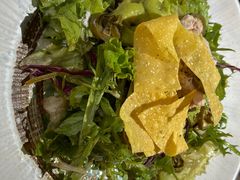 -Cactus墨西哥仙人掌餐厅