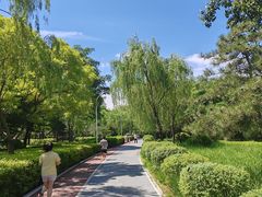 -绿堤公园