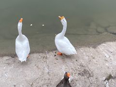 -北宫国家森林公园