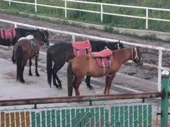 -鼎盛王朝康熙大典实景演出