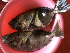 -蚝乡农庄(铁涌赤岸店)